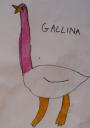 03-longhena-polli-1a2008.jpg