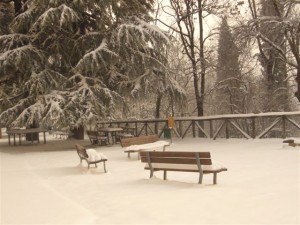 21dic09-1