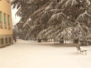 21dic09-3