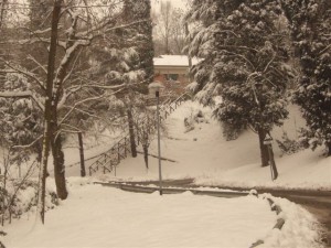 21dic09-4