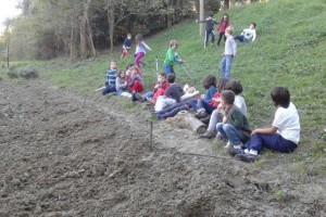 2C_orto_012013