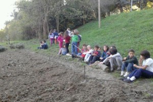 2C_orto_032013