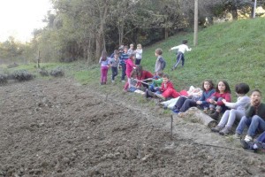 2C_orto_052013