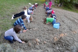 2C_orto_072013