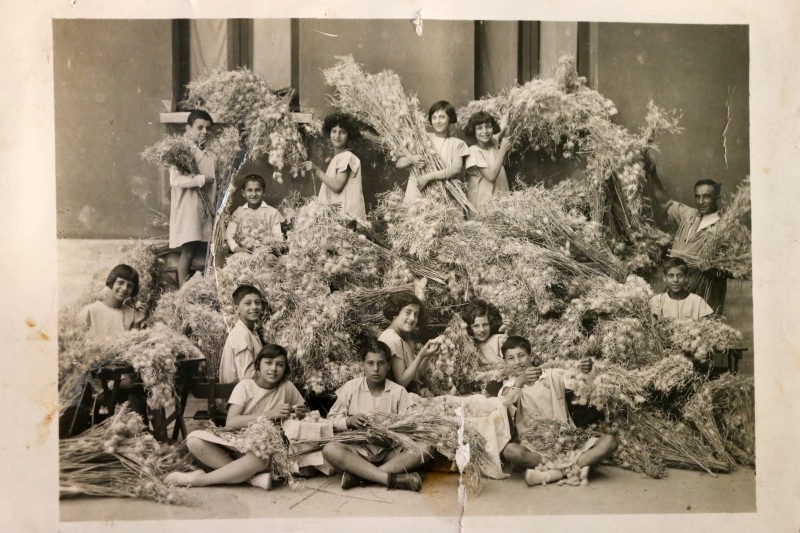 Scuola Longhena di Bologna, 1928