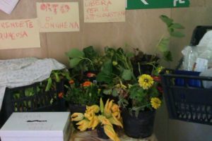 IMG-20160613-WA0005