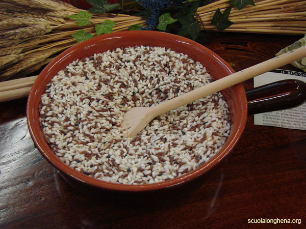 102-bio-visita-alcenero