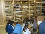 012-bio-visita-alcenero