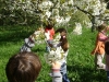 1c_primavera_longhena_2011052011