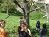1c_primavera_longhena_2011082011