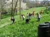 1c_primavera_longhena_2011102011