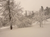 2010-neve-marzo03