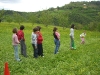 24_2a-2b-atletica.jpg