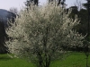 2c_pausa_primavera_2011022011