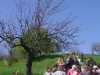 2c_pausa_primavera_2011032011