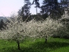 2c_pausa_primavera_2011102011