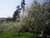 2c_pausa_primavera_2011182011