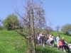 2c_pausa_primavera_2011192011