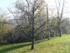 1c-giornata-sole-parco5