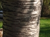 1c-giornata-sole-parco6