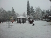 20130116_121151