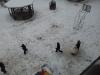 20130116_132235