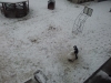 20130116_132245
