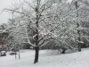 20130116_133816