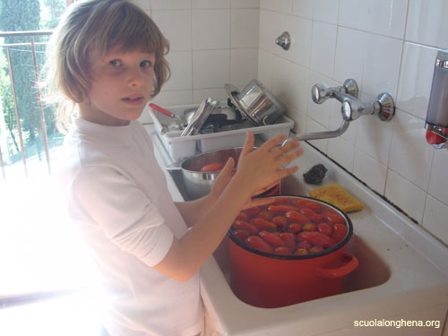 11-2a-2006-pomodori