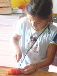 07-2a-2006-pomodori